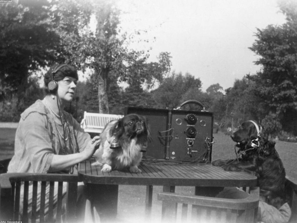 យុទ្ធសាស្ត្រការណែនាំអនឡាញ: ការបង្កើនភាពជោគជ័យ